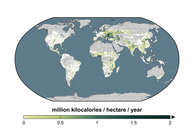 Durch eine Erhöhung der Ernte-Erträge auf 50% des Möglichen könnte die Erde zusätzlich 850 Millionen Menschen ernähren. Besonders ausgeprägt sind zu geringe Erträge etwa in Afrika, Teilen Asiens und Osteuropa. Die Hälfte des unausgeschöpften Potenzials konzentriert sich auf lediglich 5 Prozent der Welt-Anbaufläche, haben die Forscher berechnet. © Science/AAAS