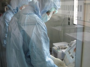 Weil die Arbeit mit Zellen hochreine Bedingungen erfordern, tragen die Mitarbeiter in den Reinräumen sterile Bekleidung. © M. Neuenhahn / TUM