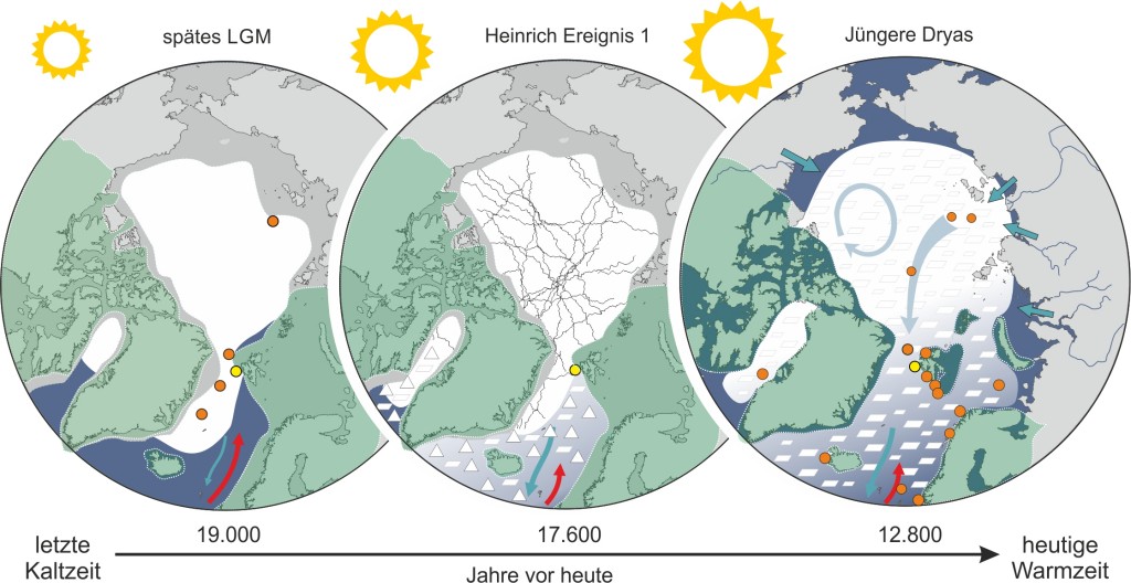 Überblick über die rekonstruierten Veränderungen der Meereisbedingungen Diese Abbildung zeigt die Eissituation in der Framstraße sowie die Stärke der atlantischen Umwälzbewegung in drei Schlüsselmomenten. Vor 19000 Jahren, zum Ende der letzten Kaltzeit, bildete sich eine dicke Meereisdecke auf dem Arktischen Ozean (linke Abbildung). Diese brach dann vor 17600 Jahren relativ plötzlich auf, was dazu führte, dass große Mengen Meereis und Eisberge durch die Framstraße in den Nordatlantik trieben (mittlere Abbildung). Ein ähnlich starker Strom von Eis aus der Arktis in den Nordatlantik wiederholte sich dann noch einmal vor 12.800 Jahren. (rechte Abbildung). Die grün gerahmten Flächen stellen jeweils die kontinentalen Eisschilde dar. Die Punkte verweisen auf Orte, an denen Bohrkerne gezogen wurden, deren Analyse die aktuellen Forschungsergebnisse bestätigt. Der Ort, an dem der in dieser Studie besonders relevante Bohrkern gezogen wurde, ist gelb markiert. © Juliane Müller, Alfred-Wegener-Institut