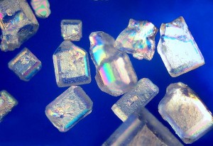 Zuckerkristalle unter dem Polarisationsmikroskop.  © public domain.