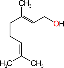 Geraniol. Durch eine Schwanz-Kopf-Zyklisierung entsteht aus dem Geraniol das Eukalyptol. © public domain.  