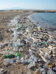 Plastikmüll am Strand des Roten Meeres. © public domain.